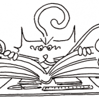 auto-entrepreneur Consultant Consultant, STRASBOURG 67