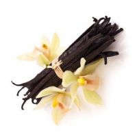 auto-entrepreneur Chauffeur-livreur Chauffeur-livreur, AVIGNON 