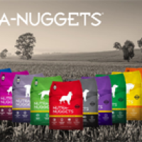 Photo de Garde d'animaux à St Loubes