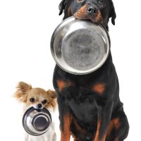 Photo de Commercial à Chevaigné