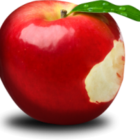 auto-entrepreneur Infirmière Infirmière, PARIS 10EME ARRONDISSEMENT 