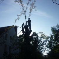 Photo de Jardinage à Saint Julien