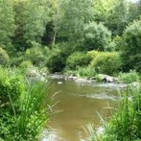 auto-entrepreneur Autres services Autres services, LE CHAMP ST PERE 