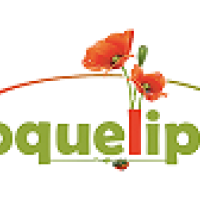 Spécialiste diverses spécialités à Saint Joire