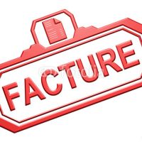 auto-entrepreneur Consultant Consultant, LYON 8EME ARRONDISSEMENT 