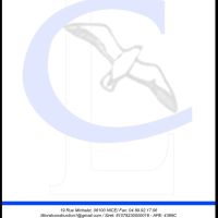 Photo de Carreleur à Nice