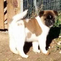 Photo de Maçon à Aix En Provence