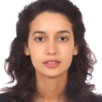 auto-entrepreneur Consultant informatique Consultant informatique, COURBEVOIE 