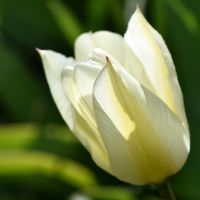 auto-entrepreneur Infirmière Infirmière, Paris 