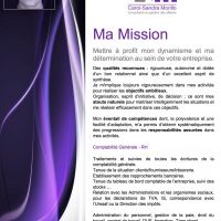 auto-entrepreneur Consultant Consultant, BAGNEUX