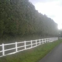 Photo de Jardinage à Sauviat Sur Vige