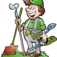 GOservices  BENDEJUN