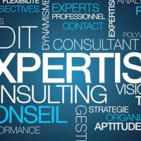 Photo de Consultant à Elven