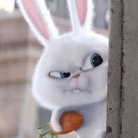 auto-entrepreneur Webmaster Webmaster, ST SAULVE