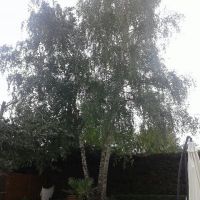 auto-entrepreneur paysagiste paysagiste, Orléans 