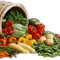 auto-entrepreneur Restauration  Restauration , Pau 