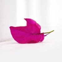 Photo de Secrétaire à Redessan