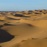 auto-entrepreneur Tourisme Tourisme, Marrakech 