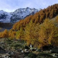 auto-entrepreneur Télévendeur Télévendeur, CRISENOY 