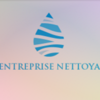 auto-entrepreneur Femme de ménage Femme de ménage, VILLENEUVE LE ROI 