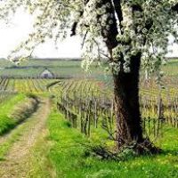 Photo de Autres services à Huismes