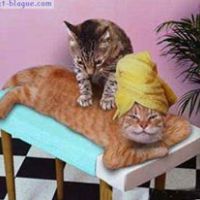 auto-entrepreneur Bien-être Bien-être, SALON DE PROVENCE 