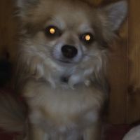 auto-entrepreneur Maçon Maçon, LA CRAU 