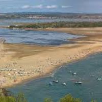 Photo de Chauffeur de poids-lourd à Cugnaux