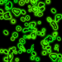 Photo de Consultant informatique à Le Port