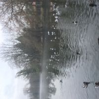 Photo de Déménageur à Winterthur