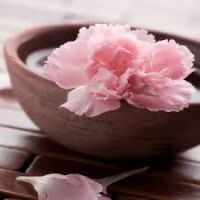 Photo de Bien-être à Noailles