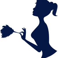 auto-entrepreneur Femme de ménage Femme de ménage, CANNES LA BOCCA 