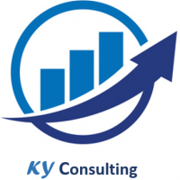 auto-entrepreneur Consultant Consultant, Villeurbanne 