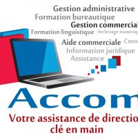 auto-entrepreneur Consultant Consultant, Brest 