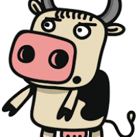 auto-entrepreneur Rédaction & Traduction Rédaction & Traduction, RENNES 