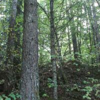 Photo de Secrétaire à Pierre Benite