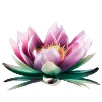 Photo de Paysagiste à Orly