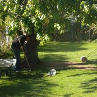 Photo de Jardinage à Viriville