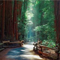 auto-entrepreneur Comptable Comptable, Nantes 44