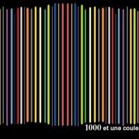 auto-entrepreneur Peintre Peintre, PAU 