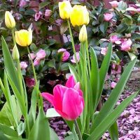 Photo de Bricolage à Claye Souilly