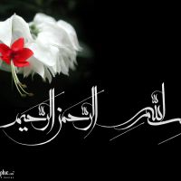 auto-entrepreneur Sécurité  Sécurité , lyon 