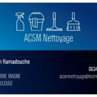 auto-entrepreneur Agent d'entretien Agent d'entretien, TOULOUSE 