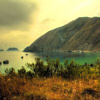 Photo de Comptable à Sousse