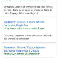 ravalement demoussage hydrofuge GEVEZE