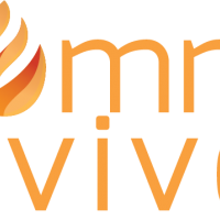 auto-entrepreneur Consultant Consultant, MARSEILLE 