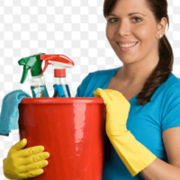 auto-entrepreneur Femme de ménage Femme de ménage, Pau 