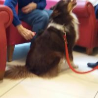 Photo de Bien-être à Vandoeuvre Les Nancy