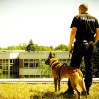 auto-entrepreneur Sécurité  Sécurité , PARIS 16EME ARRONDISSEMENT 