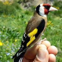 Photo de Peintre à Puteaux